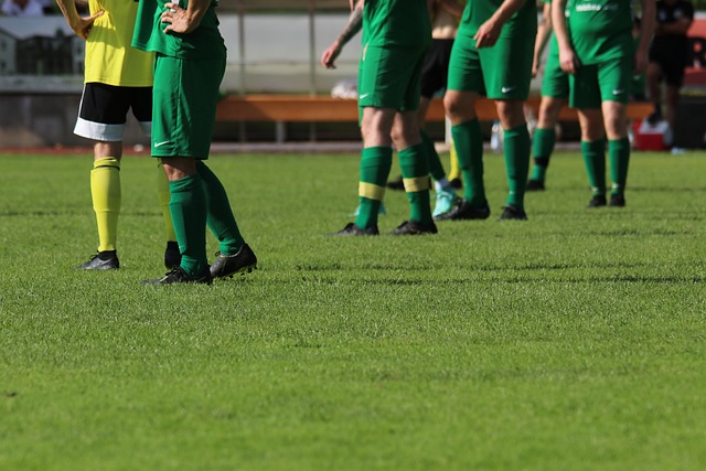 或第三方的 或第三方的