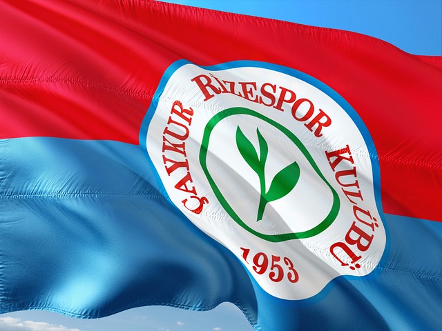 东地区动荡 东地区动荡