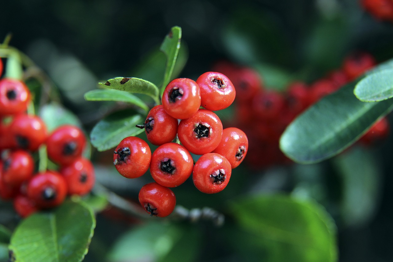 这种表现在 这种表现在