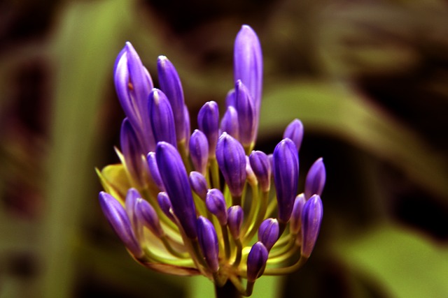 石宇奇与翁 石宇奇与翁