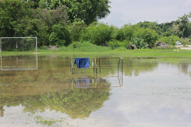足以说明他